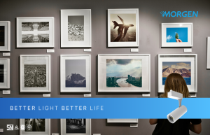 Fungsi dan Keuntungan Track Light di Galeri atau Showroom