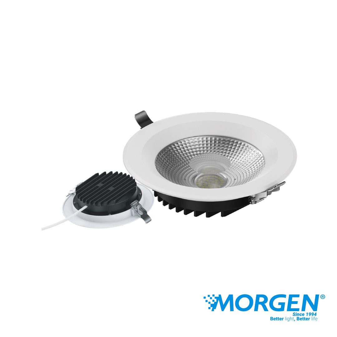 Downlight COB