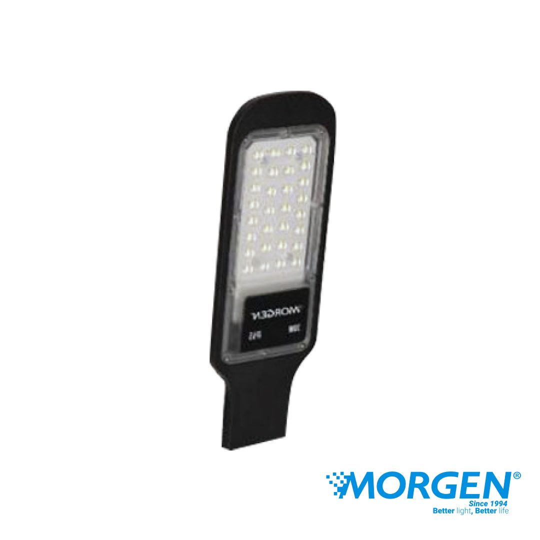 LED Street Light 434 30W, 50W, 100W